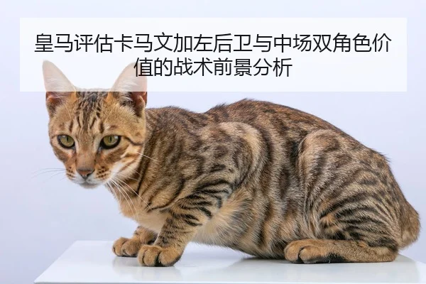 皇马评估卡马文加左后卫与中场双角色价值的战术前景分析