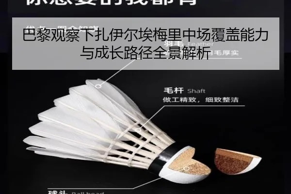 巴黎观察下扎伊尔埃梅里中场覆盖能力与成长路径全景解析