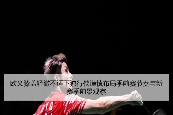 欧文膝盖轻微不适下独行侠谨慎布局季前赛节奏与新赛季前景观察